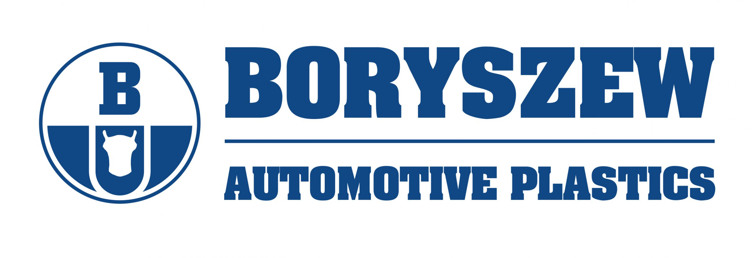 logo boryszew scaled